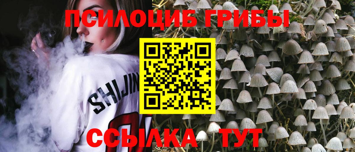 Галлюциногенные грибы прущие грибы  Вход с VPN  Новозыбков 